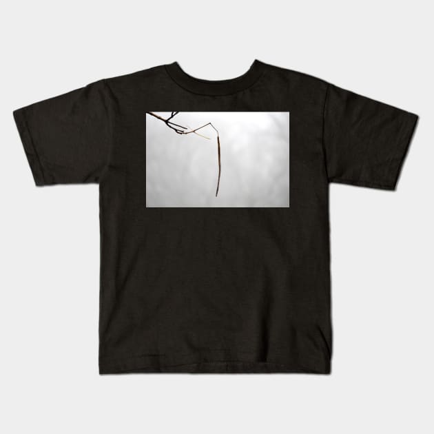 Catalpa pod on foggy day Kids T-Shirt by LaurieMinor